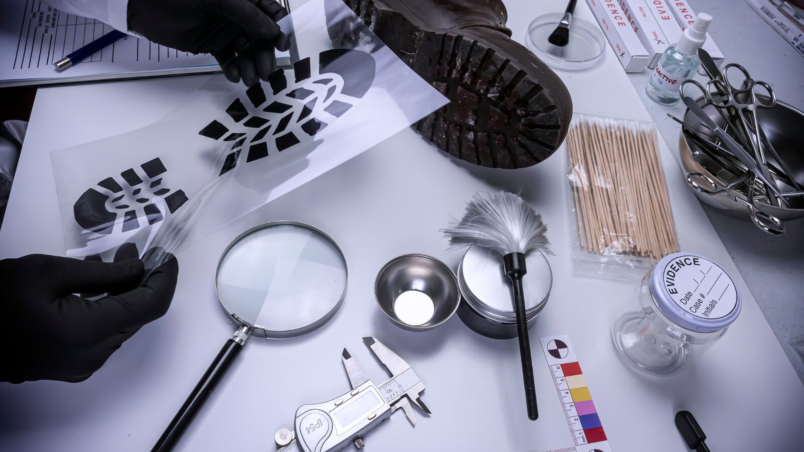 Forensic tools laid out for detailed evidence examination